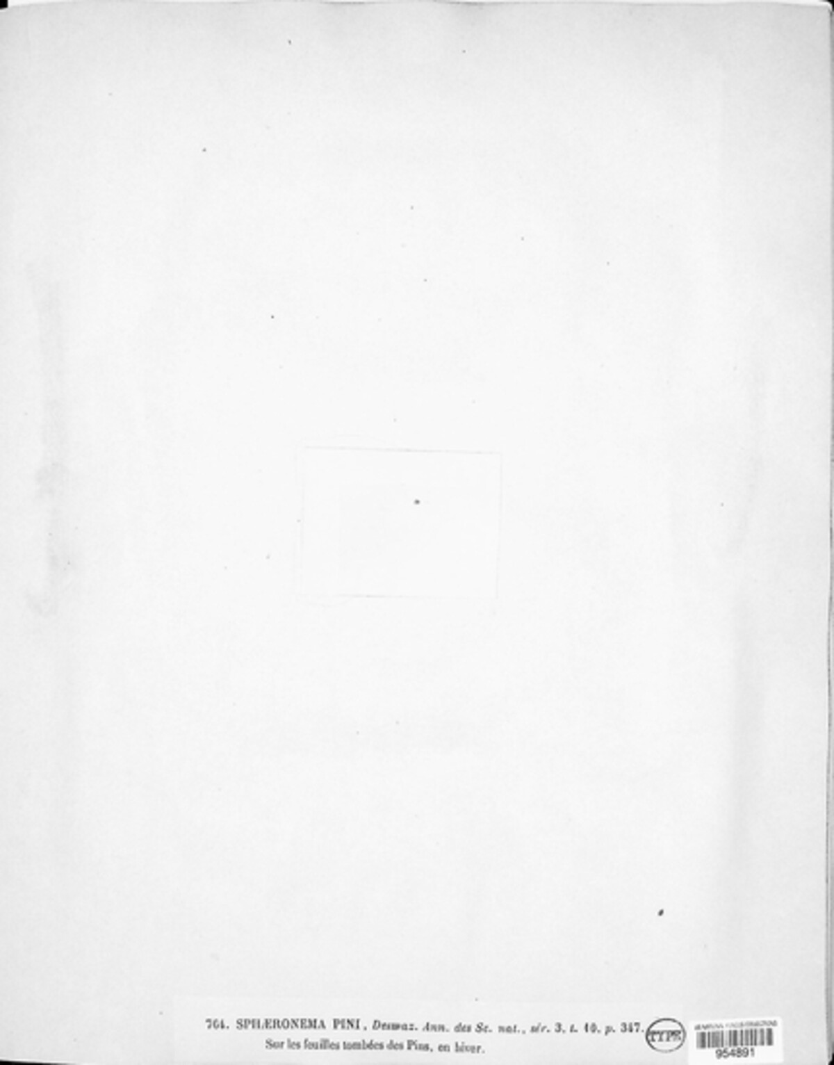 Sphaeronaema pini image